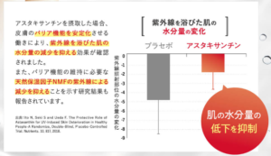 ルミナスブロックより引用