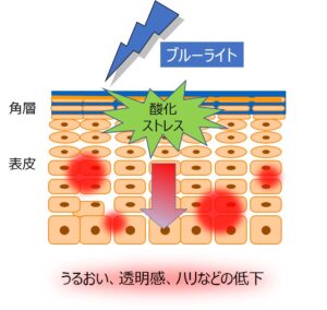 資生堂、ブルーライトが肌に与える影響を確認より引用